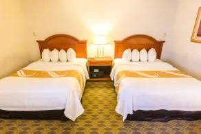 Quality Inn & Suites University - Chambre