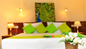 Ayurveda Spring Of Life Resort - Værelse