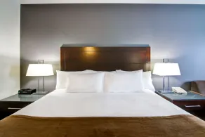Best Western Plus Brandon Inn - Chambre