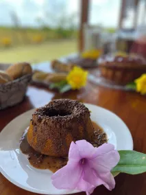 Aponem Spa & Pousada - Reception