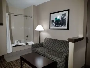 Comfort Suites Plano East - Richardson - Chambre