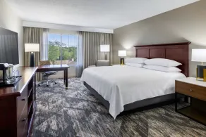 Sheraton by Marriott Atlanta Perimeter Dunwoody - Chambre