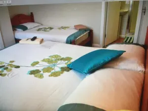 Family Room Sleeps 3 with 1 double and 1 single bed Ground Floor Private shower - Rum