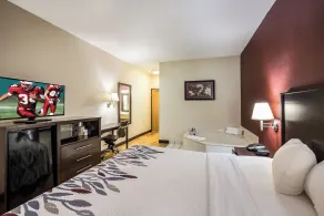 Red Roof Inn St Louis - Troy, IL - Room