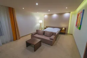 Hotel Arkada - Room