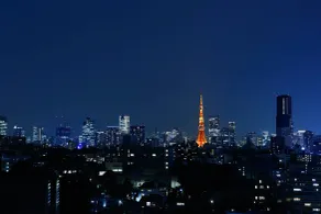 The Prince Sakura Tower Tokyo, Autograph Collection - View from room
