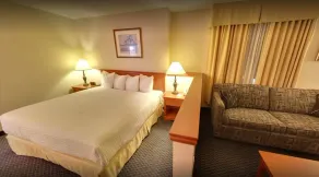 Days Inn by Wyndham Niagara Falls Centre St By the Falls - Chambre