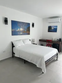 Red Flamboyan Guesthouse and Restaurant - Room