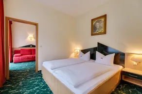 Waldhotel Vogtland - Room