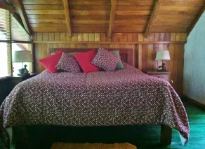 Mindo Garden Lodge and Wildlife Reserve - Room