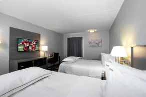 Red Roof Inn PLUS Boston - Mansfield - Foxboro - Room