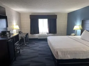 Baymont Inn and Suites by Wyndham Farmington, MO - Værelse