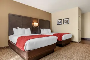 Comfort Inn & Suites Millbrook-Prattville - Chambre