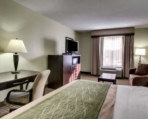 Comfort Inn Pearl-Jackson - Chambre