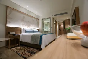 Bellevue Sarovar Premiere Junagadh - Room