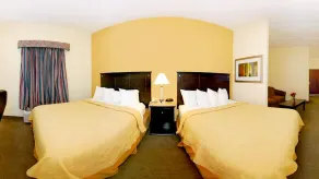 Quality Inn & Suites Wilson I-95 - Chambre
