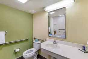Sleep Inn Denver Tech Center - Salle de bain
