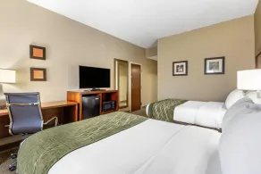 Comfort Inn Aikens Center - Chambre