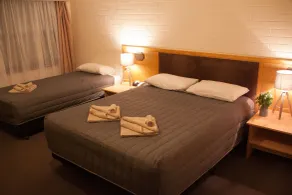 Angaston Vineyards Motel - Habitación