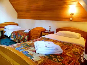 KRALjEVI KONACI ZLATIBOR - Room