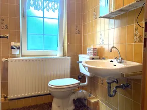Waldhaus Wolfsbachmühle - Salle de bain