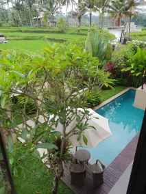 Amanda Ubud Villa - Ausblick vom Zimmer