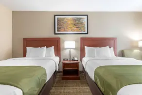Quality Inn Cheraw - Room