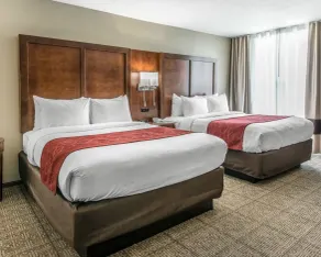Comfort Suites Dunnellon near Rainbow Springs - Zimmer