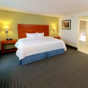 Hampton Inn by Hilton Reynosa/Zona Industrial - Chambre
