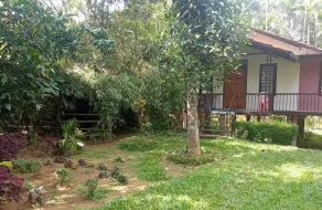 Charmante villa conviviale et familiale avec jardin | Vue nature - Façade de l’hébergement