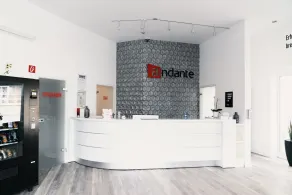 Hotel Andante Rust - Réception