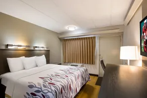 Red Roof Inn Wilkes-Barre Arena - Chambre