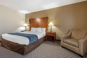 Comfort Inn Indianapolis South - Rum