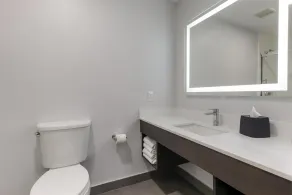 Best Western Plus Lewisville Flower Mound - Salle de bain