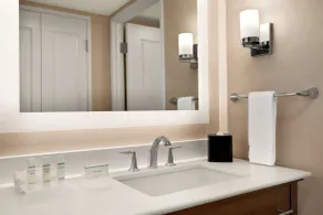 Homewood Suites by Hilton Houston NW at Beltway 8, TX - Bathroom
