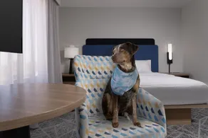 Hampton Inn & Suites Roswell - Chambre