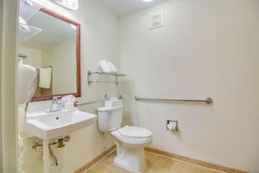 MainStay Suites Texas Medical Center-Reliant Park - Bathroom