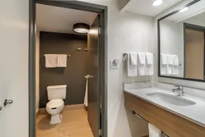 Spark by Hilton Kannapolis - Salle de bain