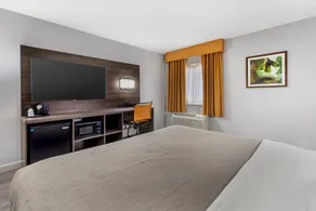 Quality Inn & Suites Raleigh Durham Airport - Chambre