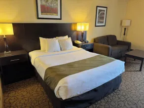 Escanaba Stay inn & suites - Room