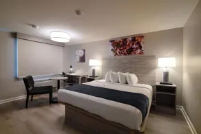The Northshore Hotel - Boston/Danvers - Rum