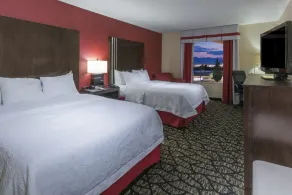 Hampton Inn & Suites Salt Lake City-University/Foothill Dr - Chambre