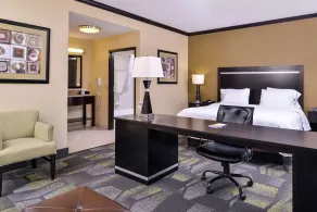 Hampton Inn & Suites Big Spring - Chambre
