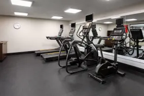 Wyndham Garden Detroit Metro Airport - Salle de remise en forme