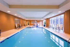 Hampton Inn & Suites Herndon-Reston - Piscine