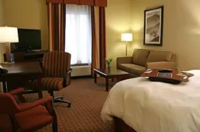 Hampton Inn & Suites Sevierville @ Stadium Drive - Chambre