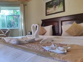 The Fern Ranthambhore Forest Resort Sawai Madhopur, Series by Marriott - Room