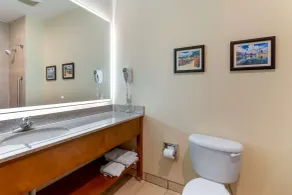 Comfort Inn Huntsville Research Park - Salle de bain