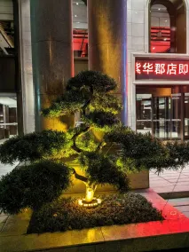 Till Bright Hotel Huanghua Airport Zihua Jun Branch 廷泊酒店黄花机场紫华郡店 - Reception