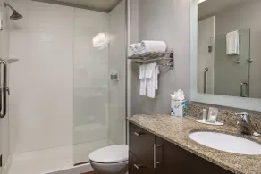 TownePlace Suites by Marriott Salt Lake City-West Valley - Salle de bain